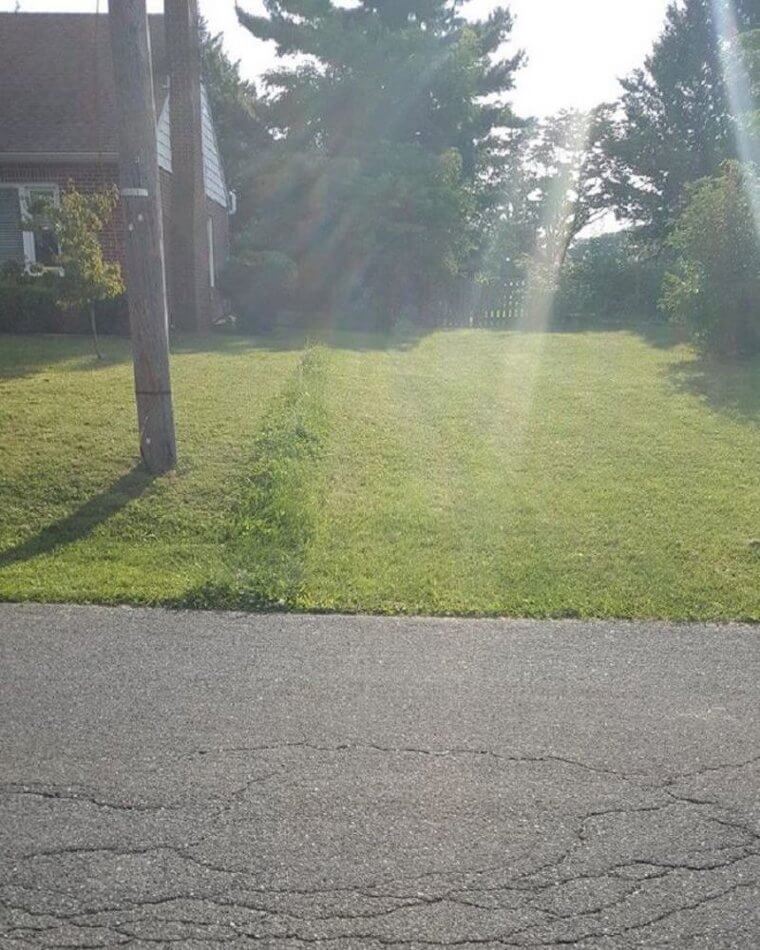 A Creative Way of Setting Boundaries for Your Neighbors