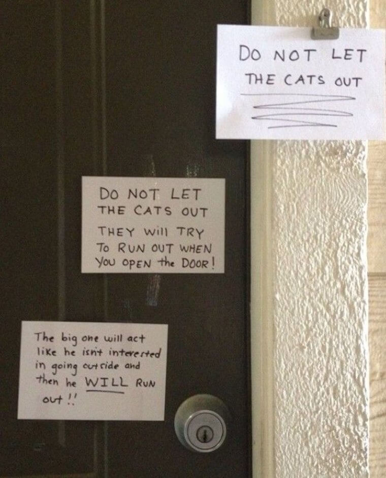 Don't Be So Catty About It