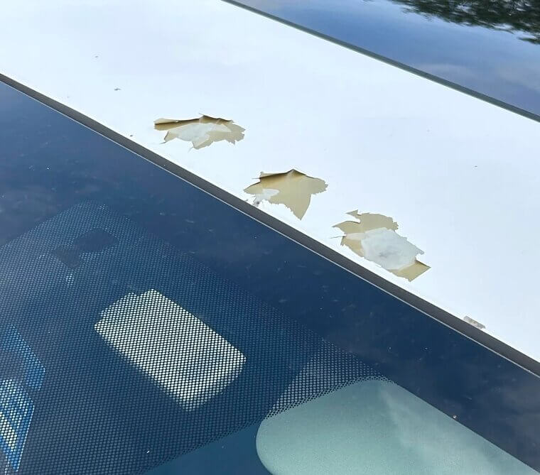 Paint Peeling and Clear-Coat Failure