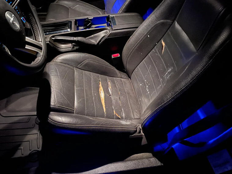 Replacing the Upholstery