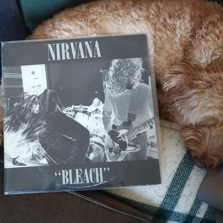 Bleach, 1989, Nirvana