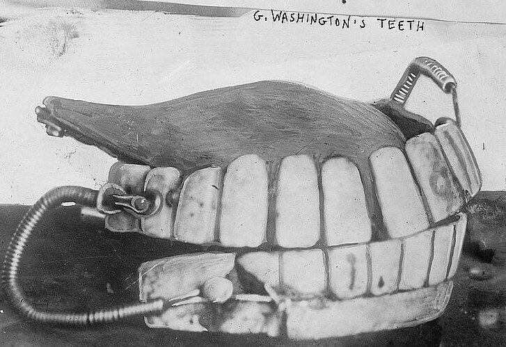 George Washington’s Teeth Weren’t Wooden - They Were Made of Human Teeth, Animal Teeth, and Ivory