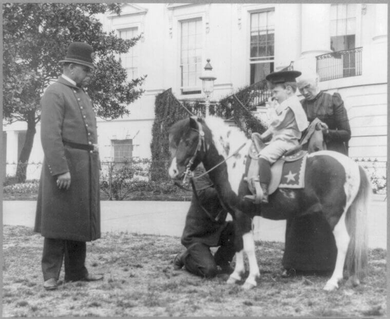 Theodore Roosevelt’s Children Once Snuck a Horse Into the White House Elevator To Visit Their Father
