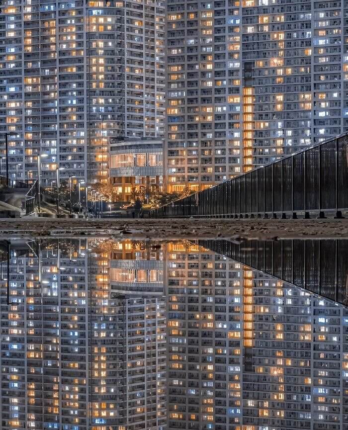 The Reflection of Tokyo