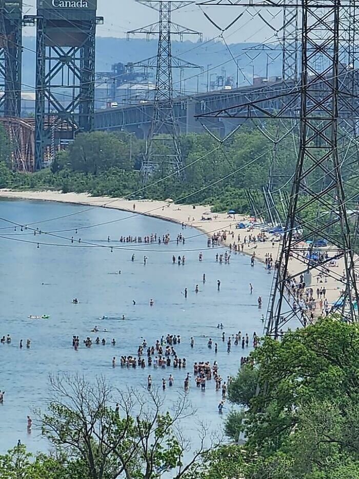 Try Not to Be Shocked While Swimming in Burlington Beach