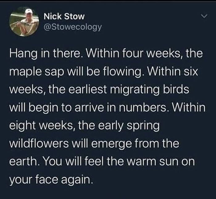 The Winter Blues Always Come - But They Also Always Go