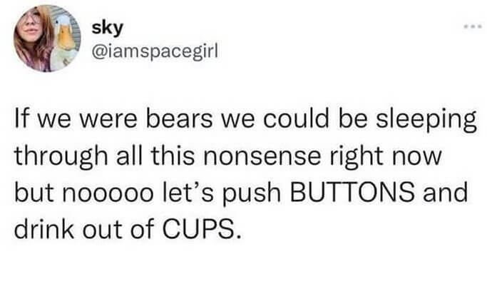Bears > Humans
