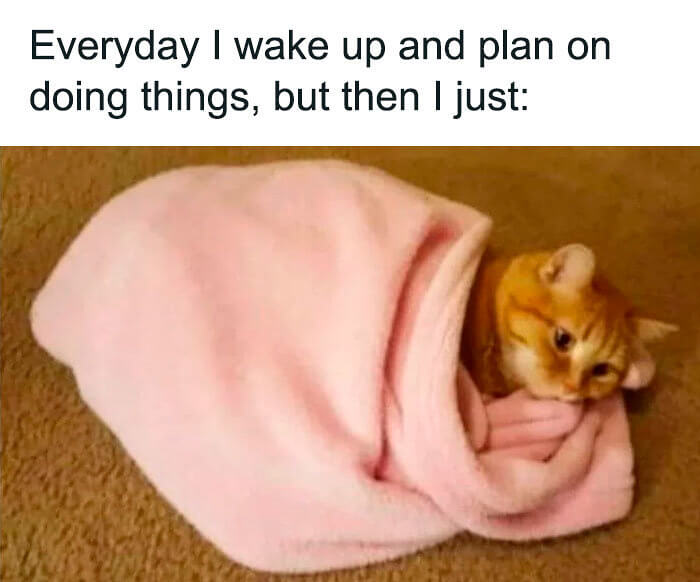 Okay, but Being a Human Burrito Isn't as Easy as It Looks