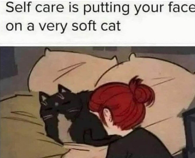 How Come No One Ever Talks About the Feline Aspects of Self Care?!