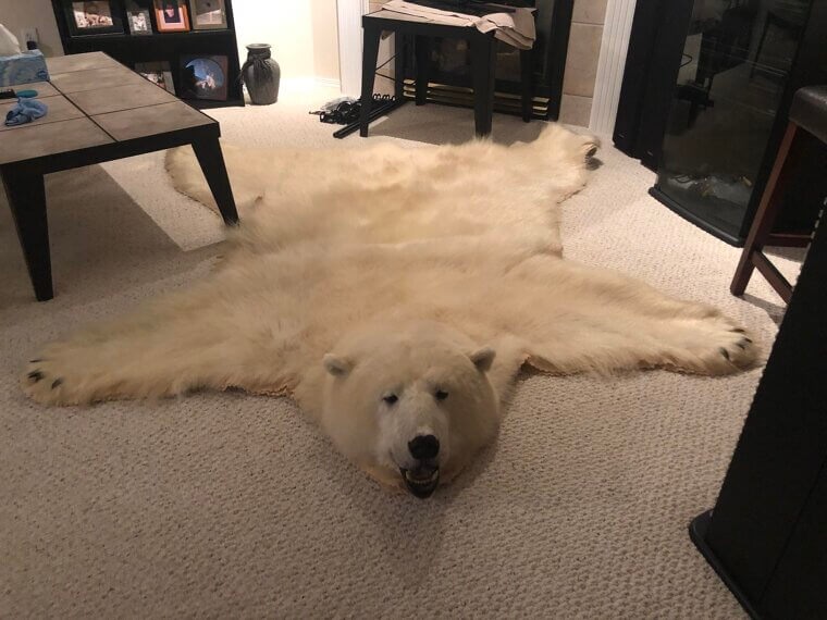 Displaying Personal Effects