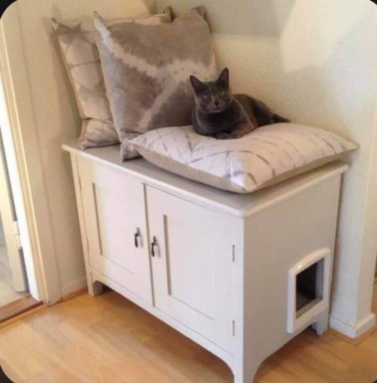 "Hast Du Katzenminze?"