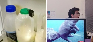 50 Hilarious Pictures That Show What Office Life Is Really Like