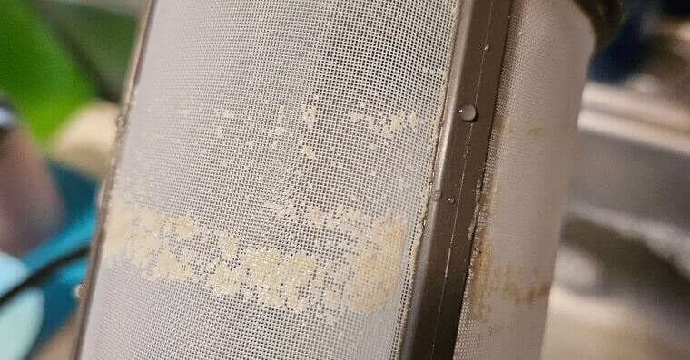 Skipping Dishwasher Filter Cleaning