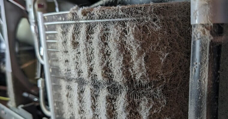 Ignoring Refrigerator Coil Cleaning