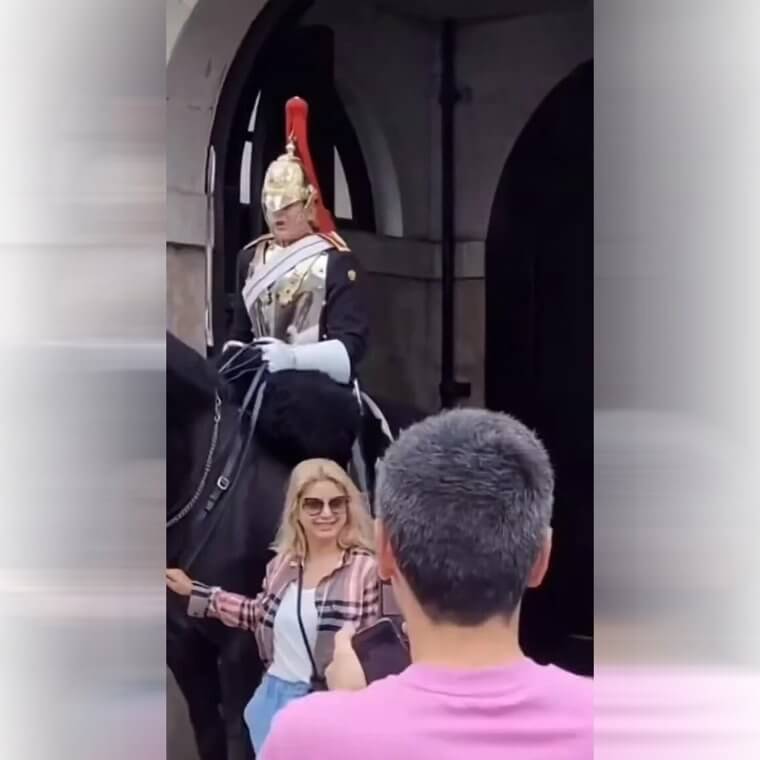 Touching Things (and Animals) They Shouldn't