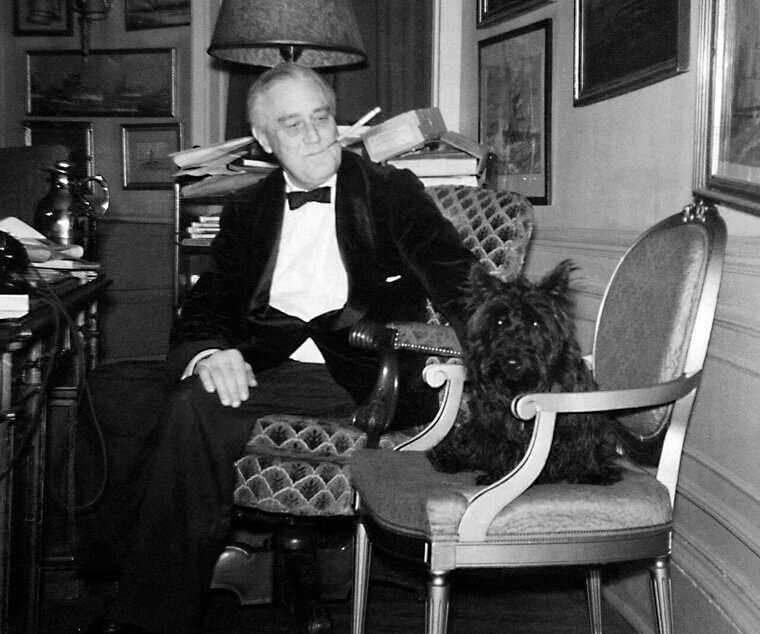 The Dog Who Saved an Election