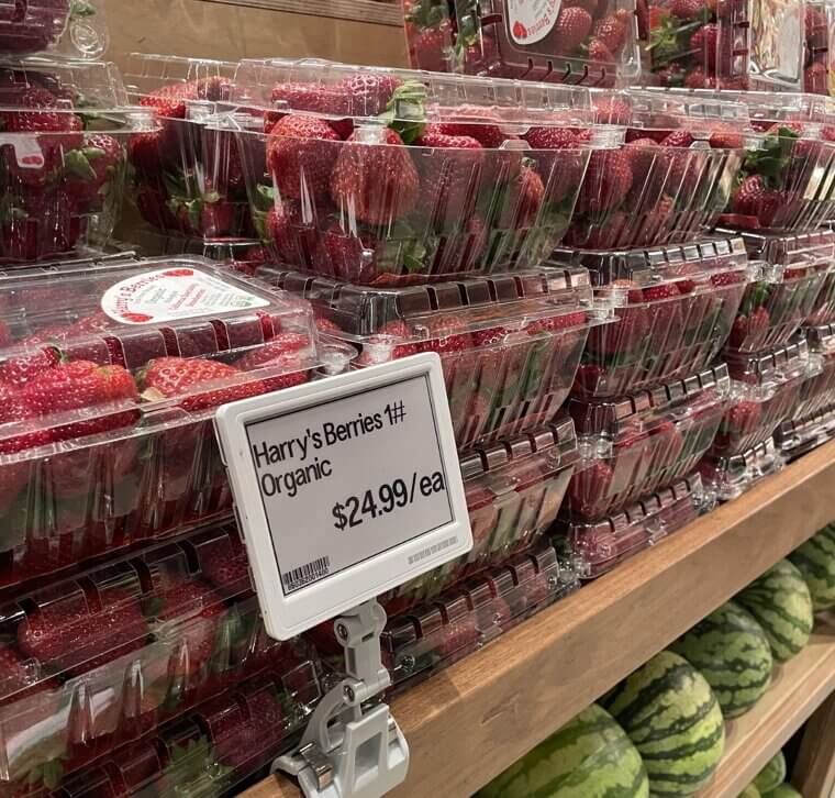 Fresh Organic Produce