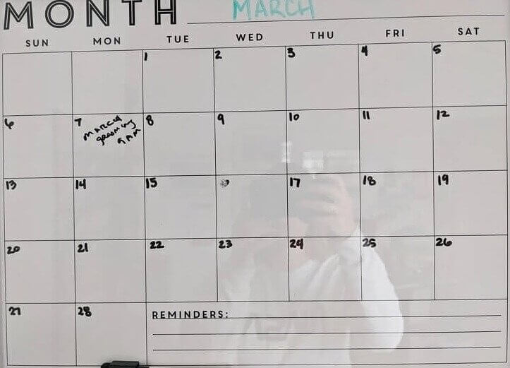 The Over-Scheduled Kid