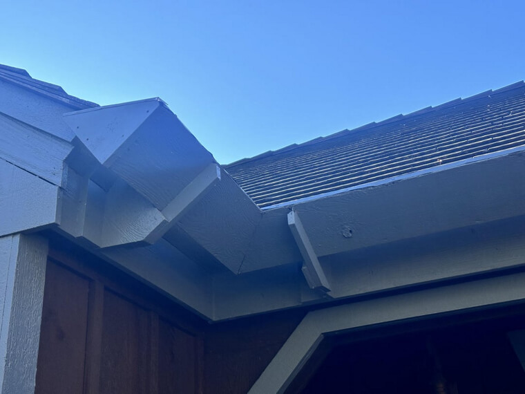 Compromised Roofing and Vulnerable Gutters