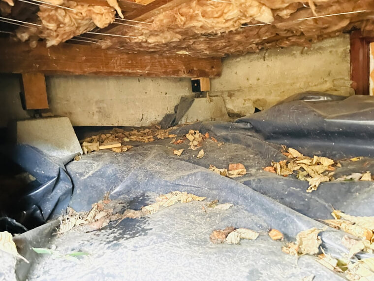 Brittle Pipes and Unprotected Crawl Spaces