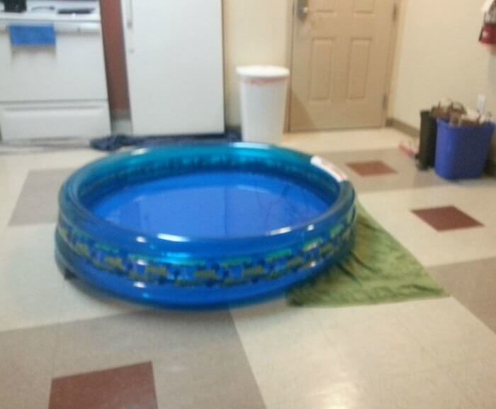 The Swimming Pool Was Closed