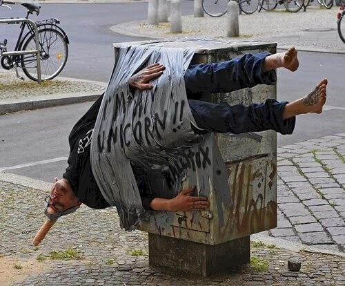 Spotted: A Real Life Unicorn