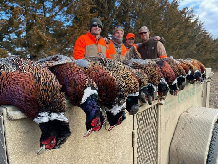 Don't Waste Portions in Arizona