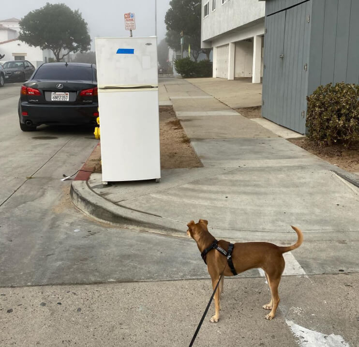 Don't Be a Fridge Felon in Oregon