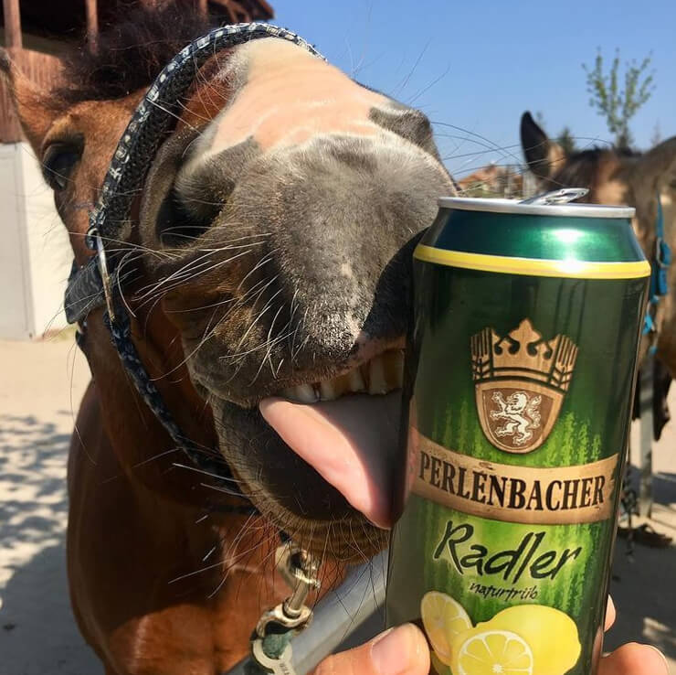 Colorado's Drunk Rider Rules