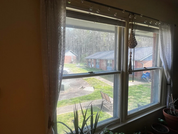 Window Cleaning Subscriptions