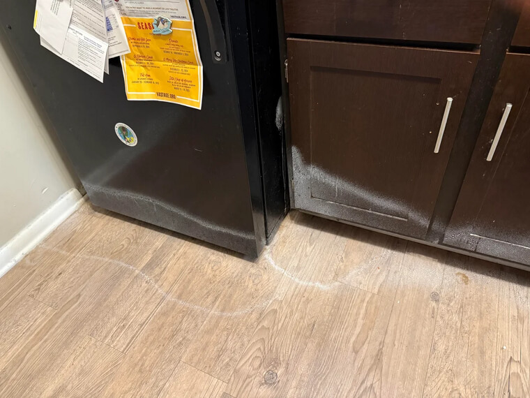 Premium Pest Control Subscriptions