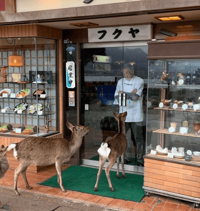 Meanwhile in Japan