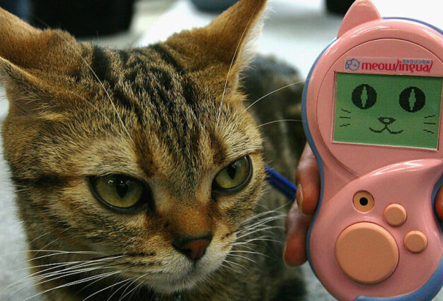 Weird but Useful Japanese Products That Don’t Exist Anywhere Else