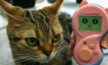 Des Produits Japonais Bizarres, Mais Très Utiles Qui N'existent Nulle Part Ailleurs