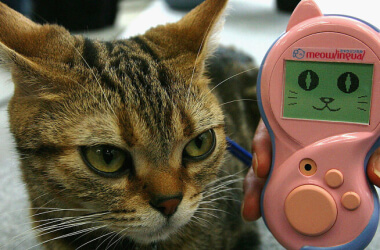 Странные, но полезные японские товары, которых больше нигде нет