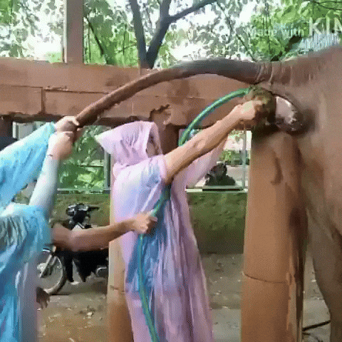 When Karma Comes From Nature Itself