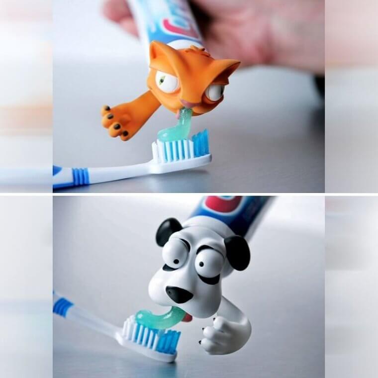 El momento del dentífrico de animales