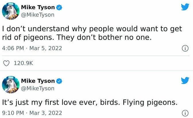 Mike Tyson and His Pigeons