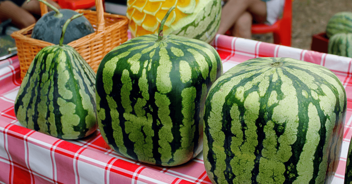 The Foods of the Wealthy, Ranked by Price