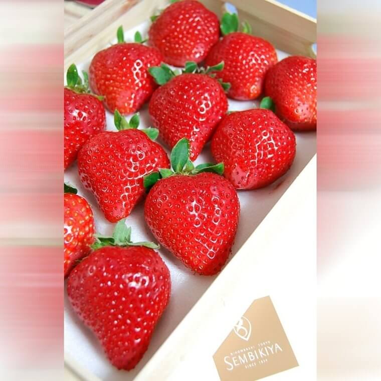 Sembikiya Queen Strawberries (US$ 85 por pacote)