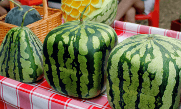 The Foods of the Wealthy, Ranked by Price