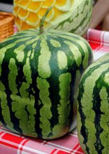 The Foods of the Wealthy, Ranked by Price