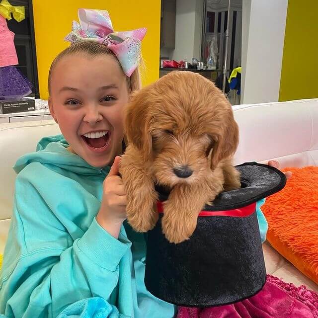 Jojo Siwa - 25.8 Million Followers