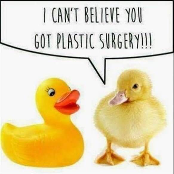The Plastic Duck Surgery