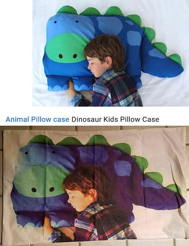 Animal Pillow Case and Child Are Not Sold Separately
