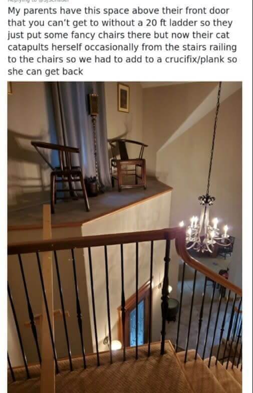 Remote Access for The Cat