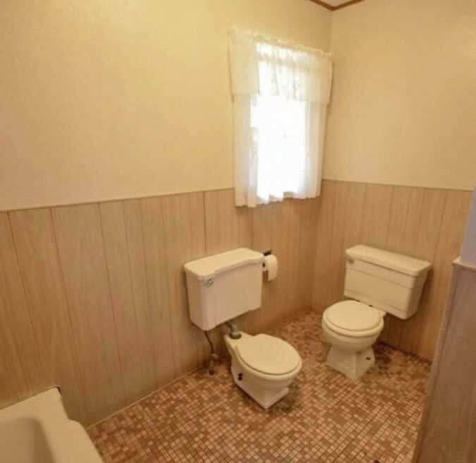 The Amazing Dueling Toilets