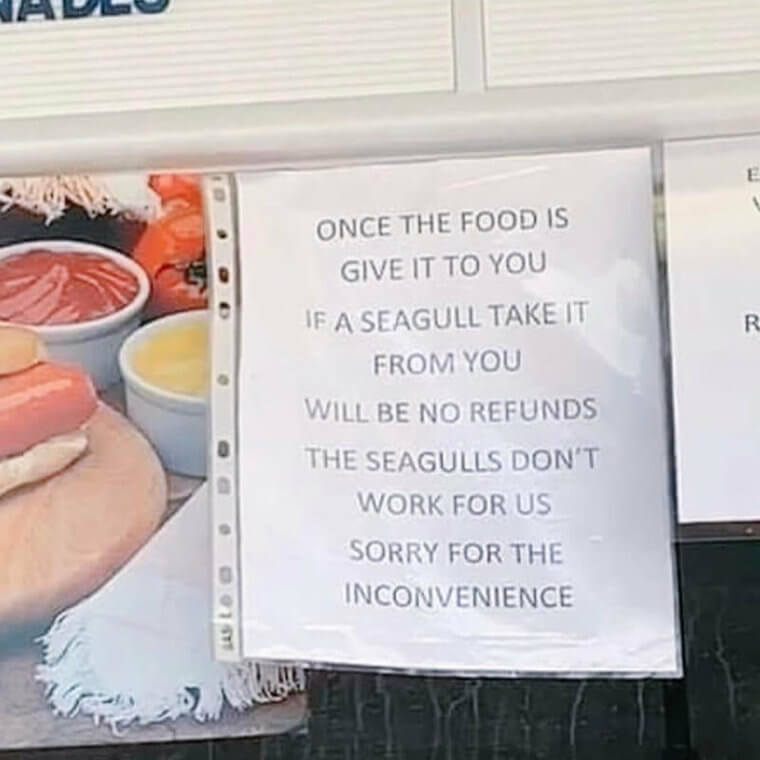 Seagulls are not employees