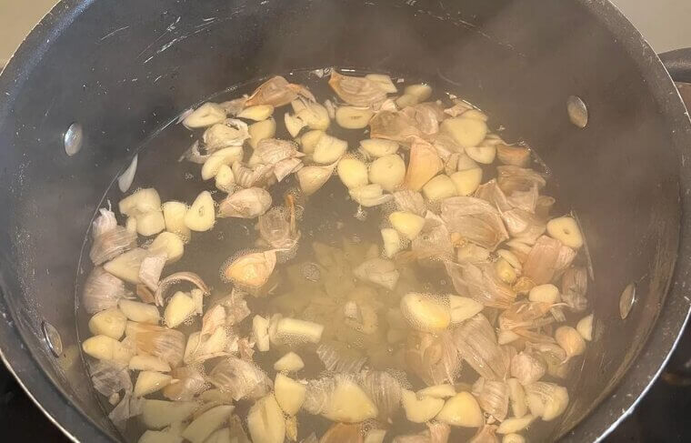 Garlic Pest Repellent