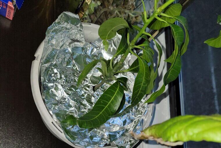 Aluminum Foil Barrier